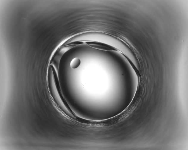 X0000085300788200703161433