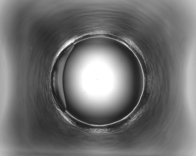 X0000085300789200703161433