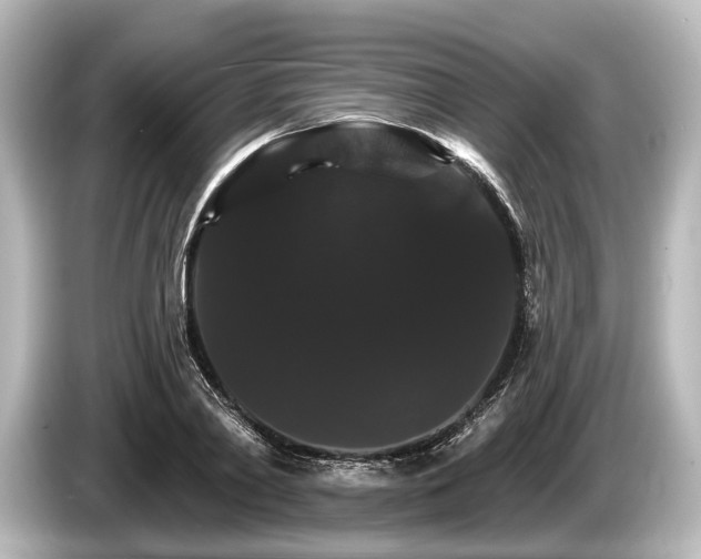 X0000085300790200703161433