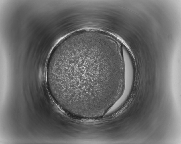 X0000085300791200703161433