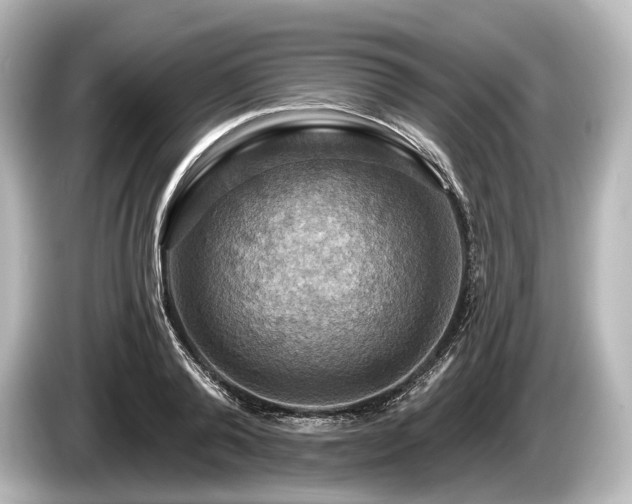 X0000085300792200703161433