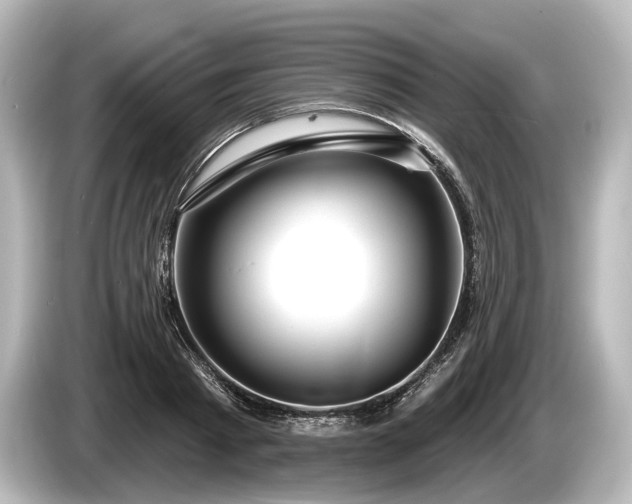 X0000085300793200703161433