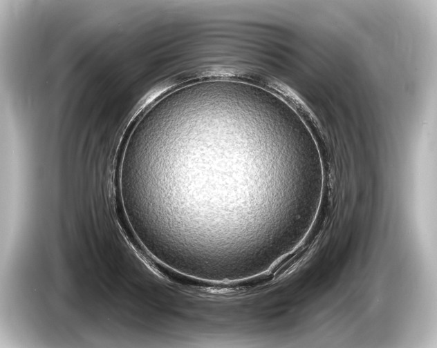 X0000085300794200703161433