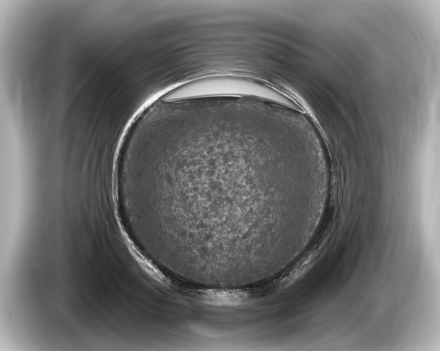 X0000085300795200703161433