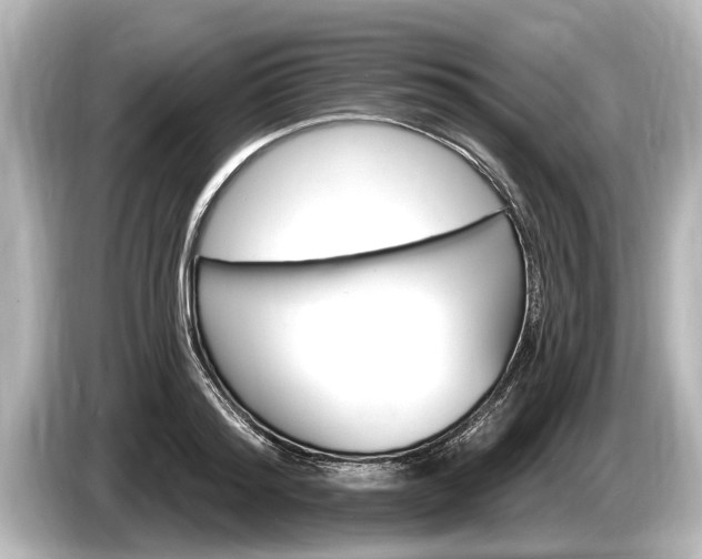 X0000085300796200703161433