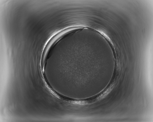 X0000085300797200703161433