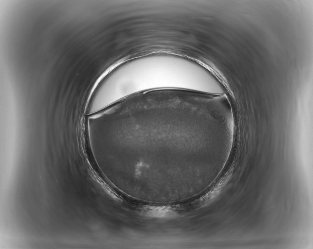 X0000085300798200703161433