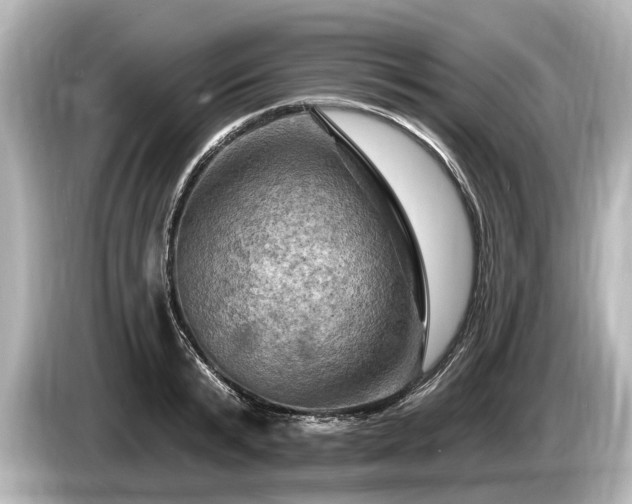 X0000085300799200703161433