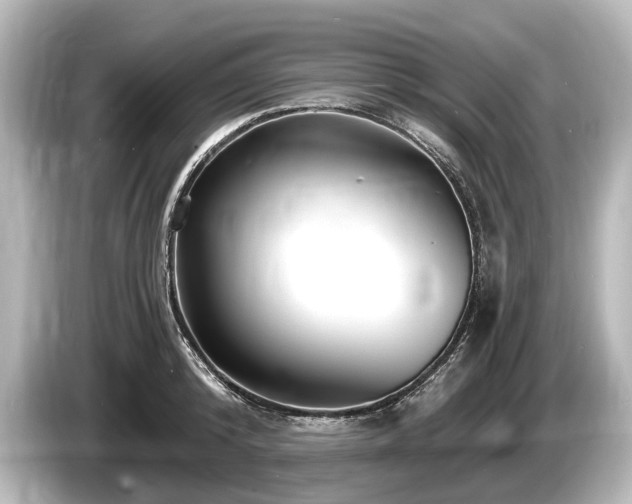 X0000085300800200703161433