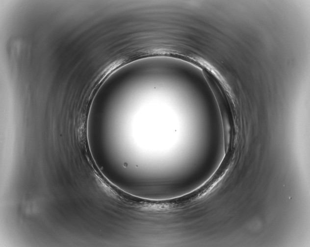 X0000085300801200703161433