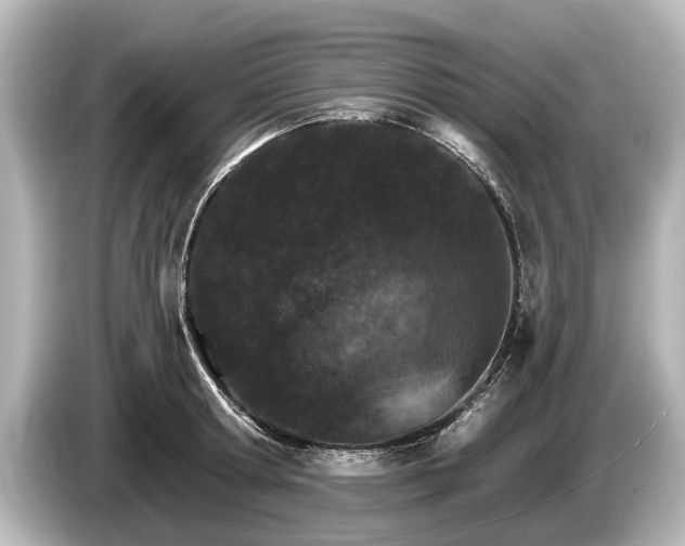 X0000085300802200703161433