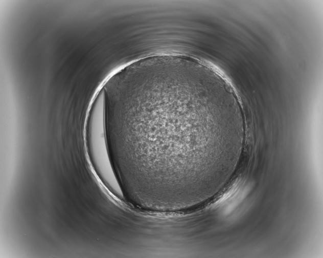 X0000085300803200703161433