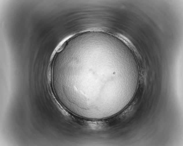 X0000085300804200703161433