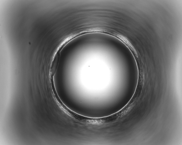 X0000085300805200703161433