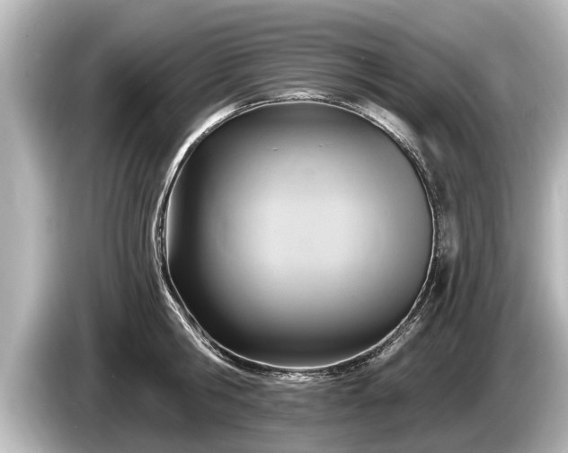 X0000085300806200703161433