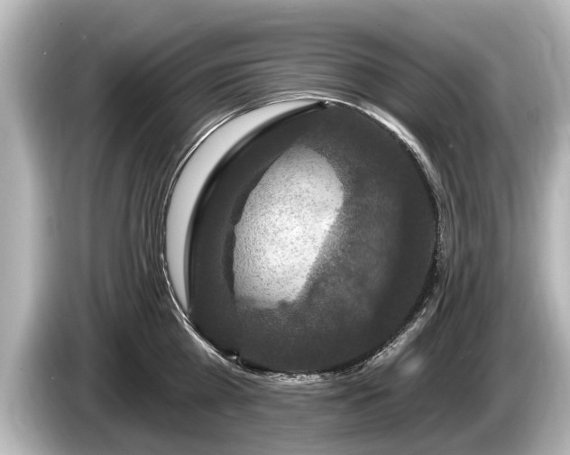 X0000085300809200703161433