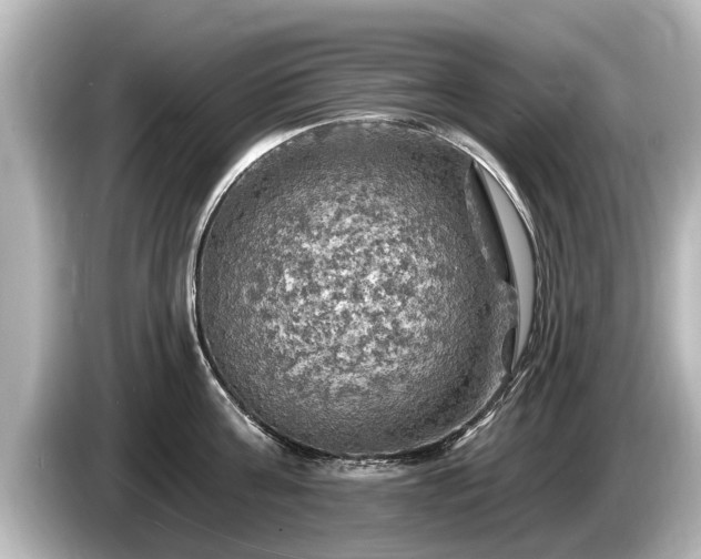 X0000085300811200703161433