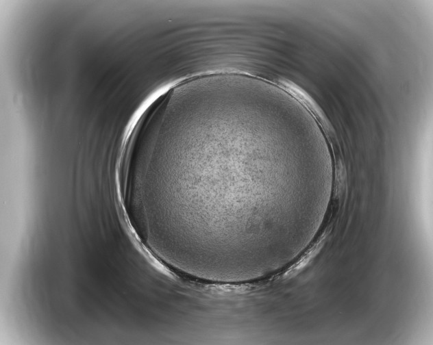 X0000085300812200703161433