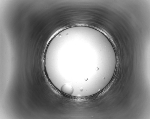 X0000085300814200703161432