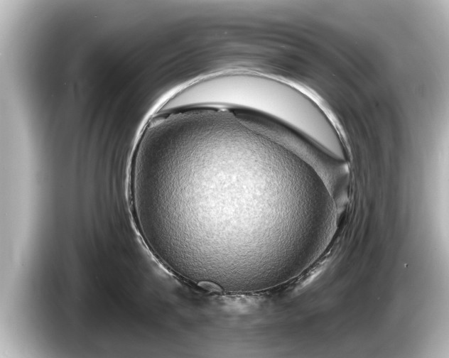 X0000085300815200703161432