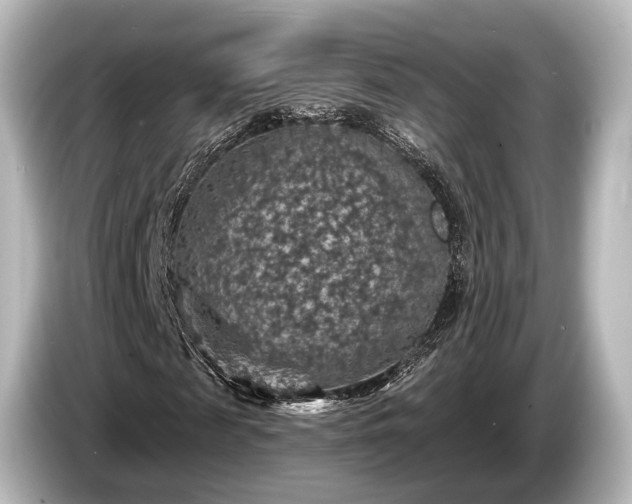 X0000085300817200703161432