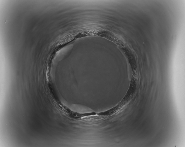 X0000085300818200703161432