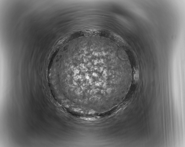 X0000085300819200703161432