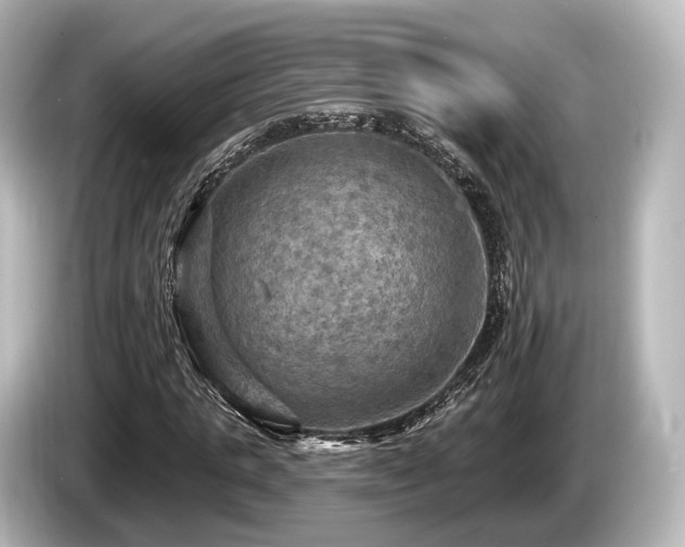 X0000085300821200703161432