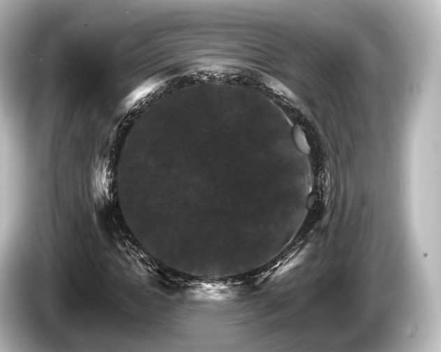 X0000085300822200703161432