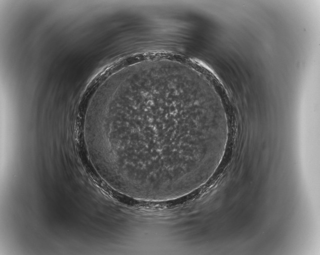 X0000085300823200703161432