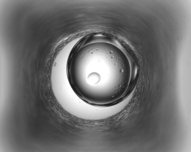 X0000085300824200703161432