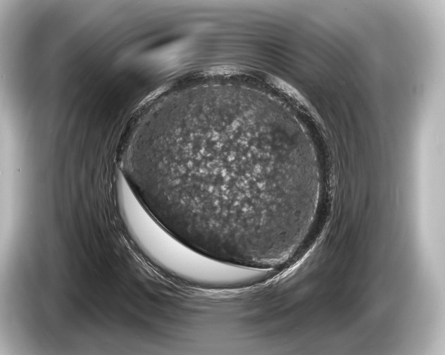 X0000085300825200703161432