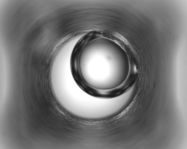 X0000085300826200703161432