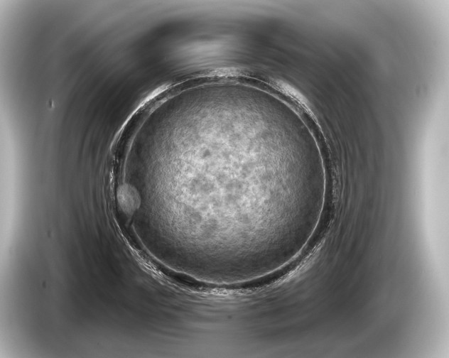 X0000085300827200703161432