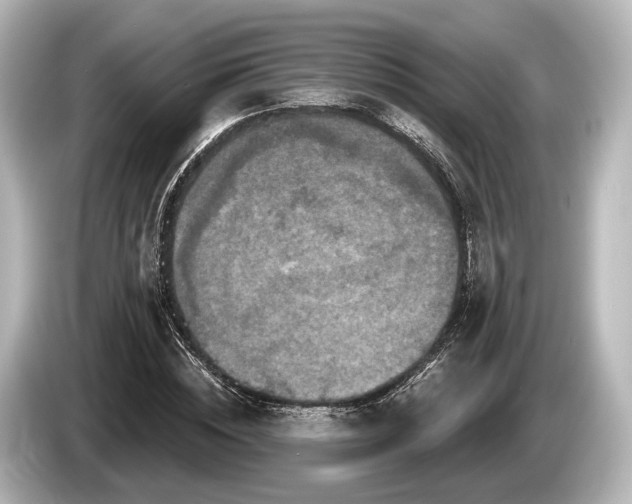 X0000085300828200703161432