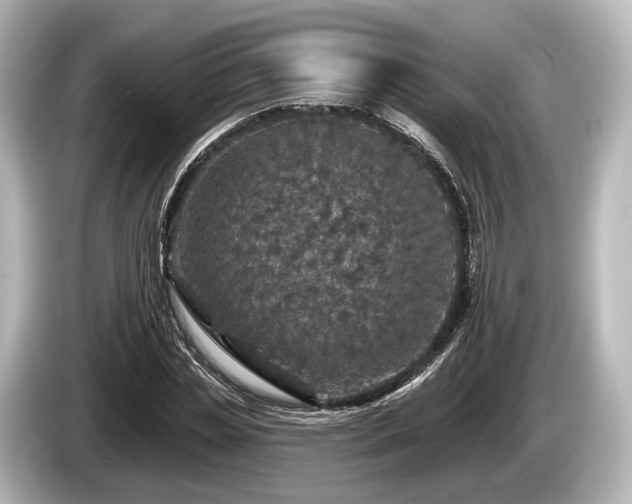 X0000085300829200703161432