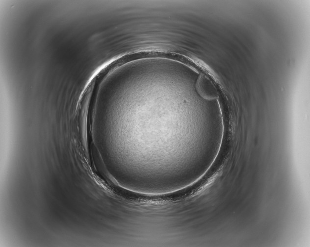 X0000085300830200703161432