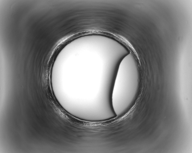 X0000085300831200703161432