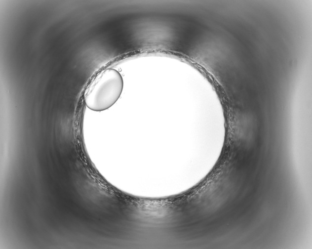 X0000085300832200703161432