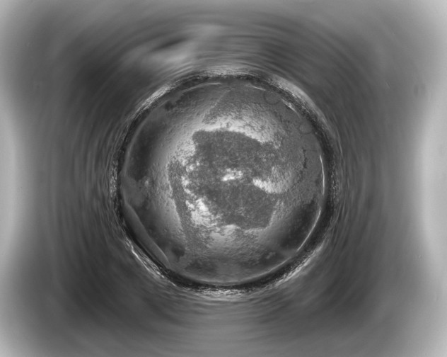 X0000085300833200703161432