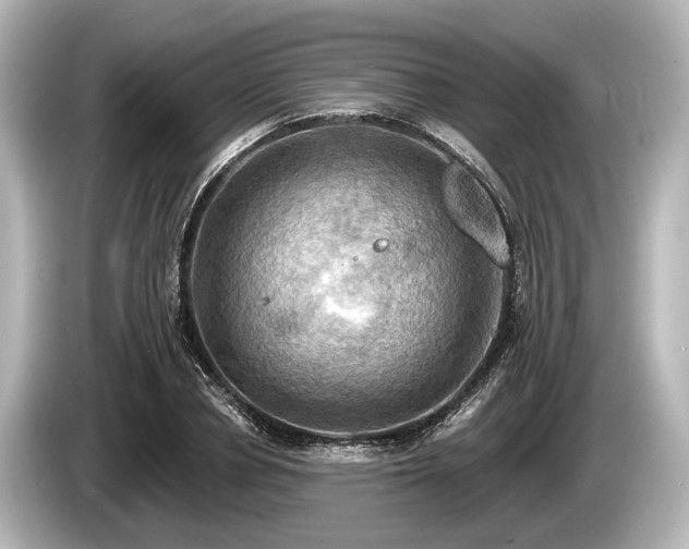 X0000085300834200703161432