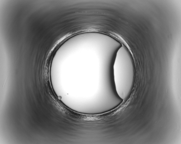 X0000085300835200703161432