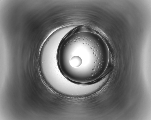 X0000085300836200703161432