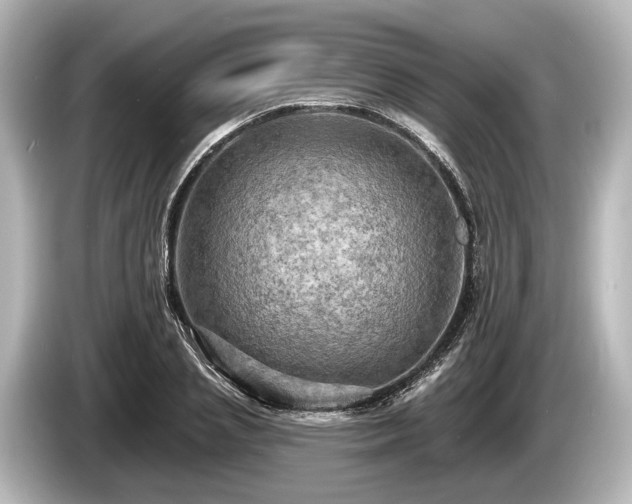 X0000085300837200703161432