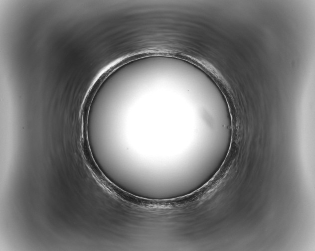 X0000085300838200703161432