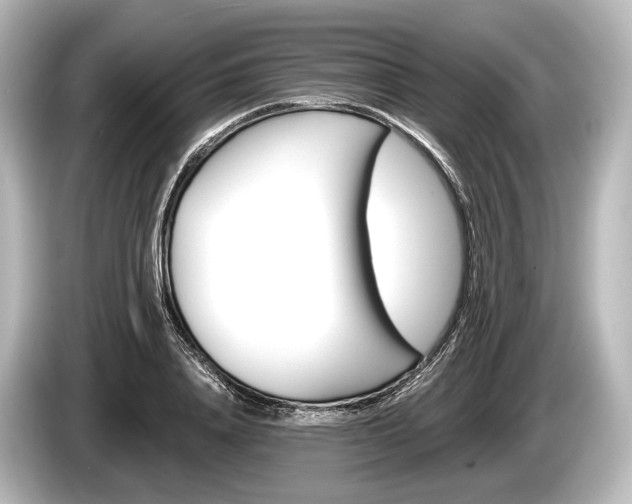 X0000085300840200703161432