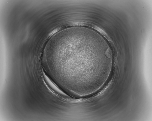 X0000085300841200703161432