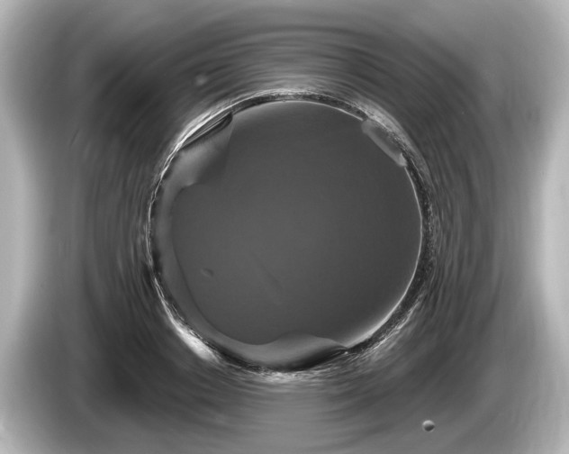 X0000085300842200703161432