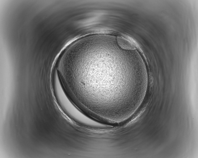 X0000085300843200703161432