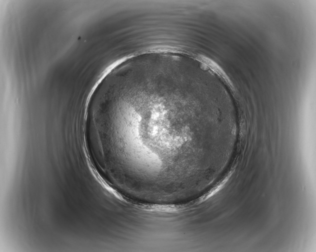 X0000085300844200703161432